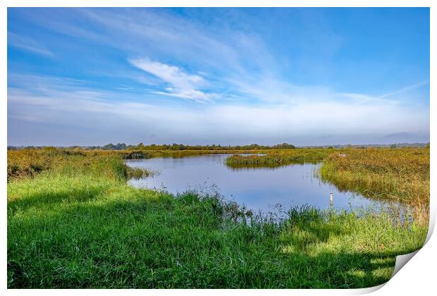 Strumpshaw Fen, RSPB Reserve Print by Chris Yaxley