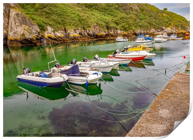 Porthclais Harbour Print by Chris Yaxley