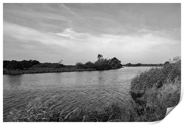 A windy and sunny day on the River Yare in RSPB St Print by Chris Yaxley