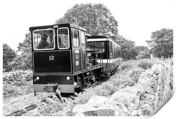Diesel train on Mount Snowdon Railway, Llanberis, North Wales Print by Chris Yaxley