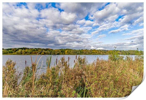 Whitlingham Broad, Norwich, Norfolk Print by Chris Yaxley