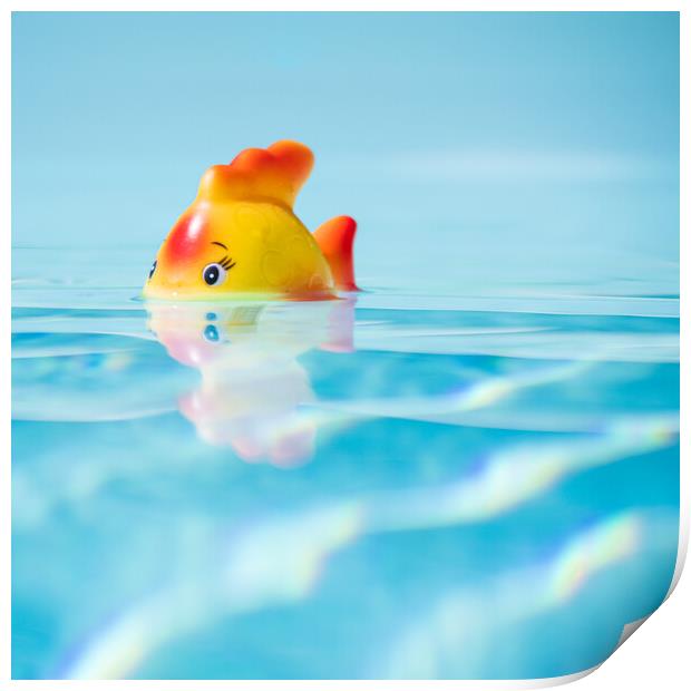 Toy fish in swimming pool Print by Laurent Renault