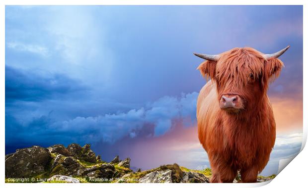 Portrait of a Scottish Highland cow over a burning sky Print by Laurent Renault