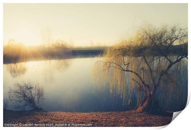 Wheeping willow tree at the pond in France Print by Laurent Renault