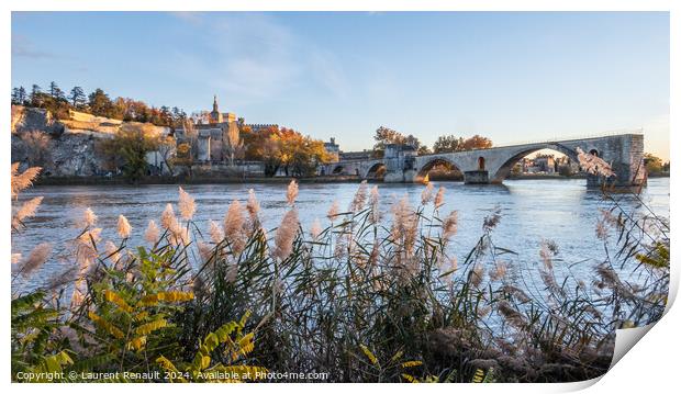 Avignon city and his famous bridge. Photography taken in France  Print by Laurent Renault