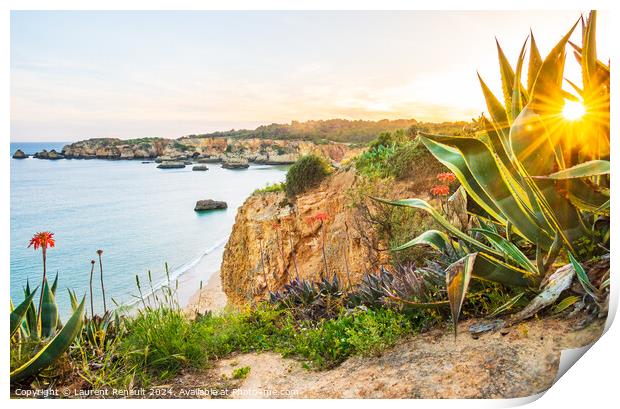 Praia do Alemão overlooked from the rugged flowery coastline  n Print by Laurent Renault