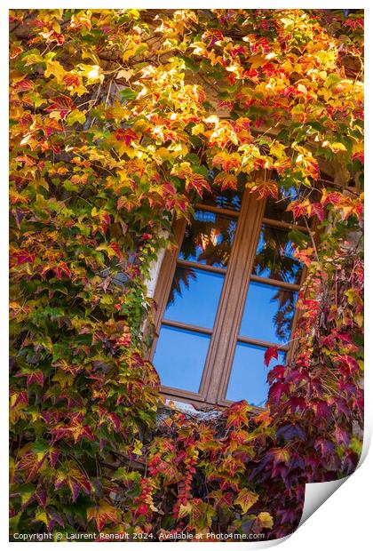 Window surrounded by the ivy with autumn facade Print by Laurent Renault