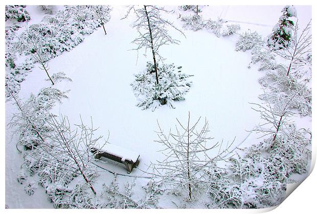 Snowy Bench  Print by Robert Gillespie