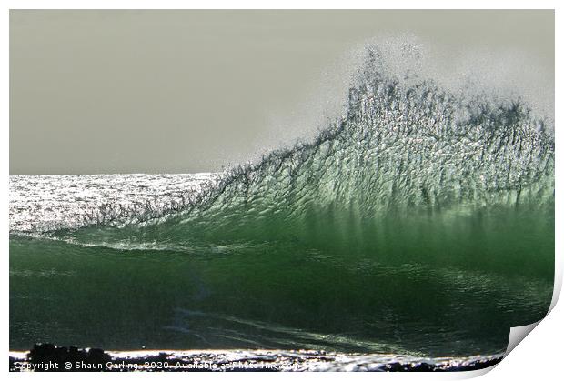 Wave At Snapper Rocks Print by Shaun Carling