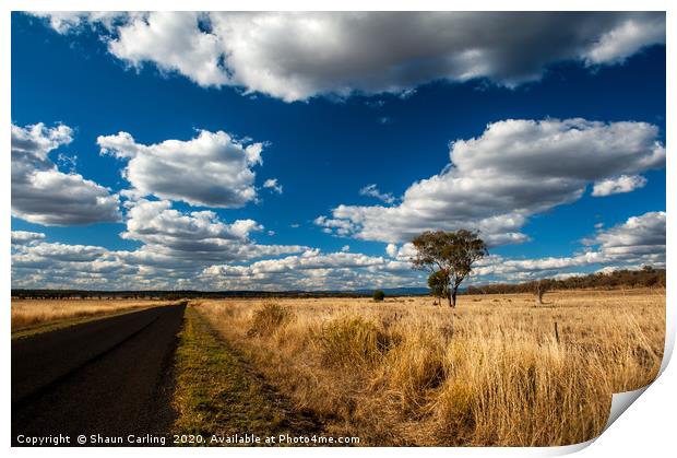 Out On The Western Downs Print by Shaun Carling