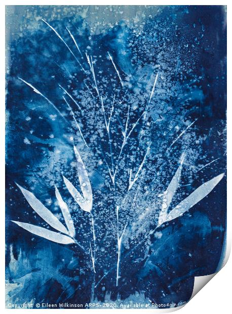 Blue Bamboo Print by Eileen Wilkinson ARPS EFIAP