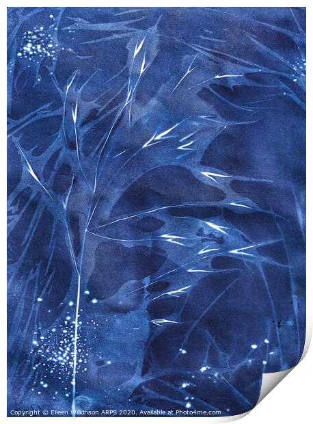 Midnight Blue  Print by Eileen Wilkinson ARPS EFIAP