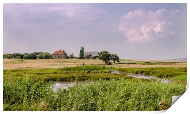 Elmley Nature Reserve Print by Eileen Wilkinson ARPS EFIAP