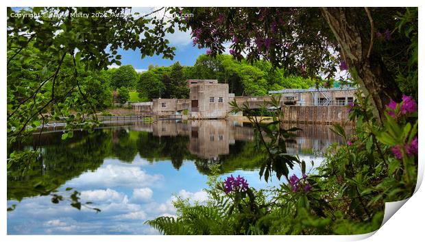 Pitlochry Hydroelectric Powerstation  Print by Navin Mistry