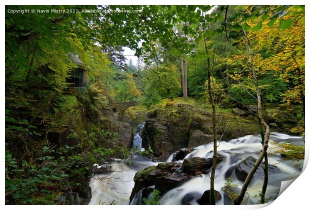 Autumn and Black Linn Falls at The Hermitage  Print by Navin Mistry