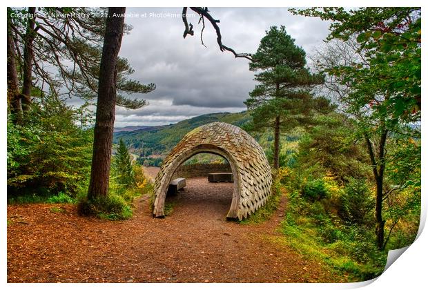 The Pine Cone View Point Tay Forest Dunkeld  Print by Navin Mistry
