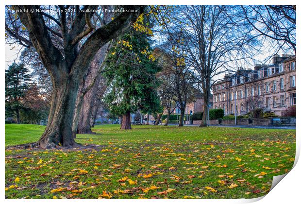 Autumn and the South Inch, Perth Scotland Print by Navin Mistry