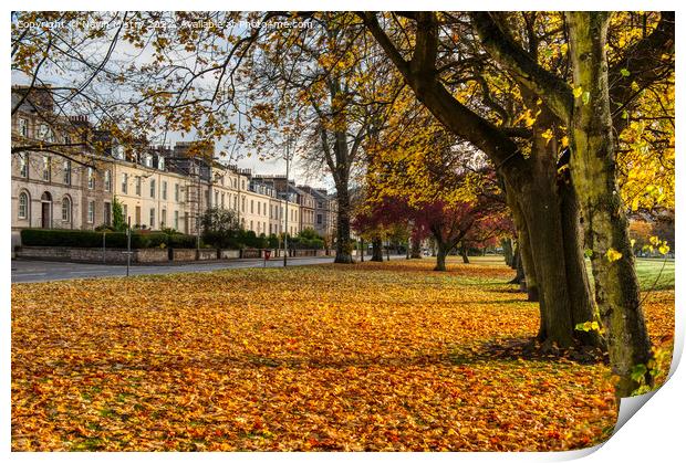 Autumn and the South Inch, Perth Scotland Print by Navin Mistry