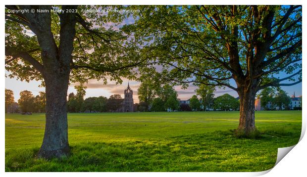 Evening Light on the South Inch, Perth Print by Navin Mistry