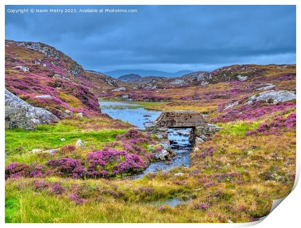 A display of Heather Isle of Harris Print by Navin Mistry