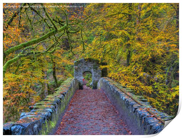 Autumn colours at the Hermitage.   Print by Navin Mistry