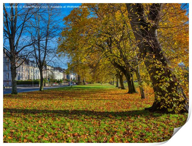 Autumn and the South Inch, Perth Print by Navin Mistry