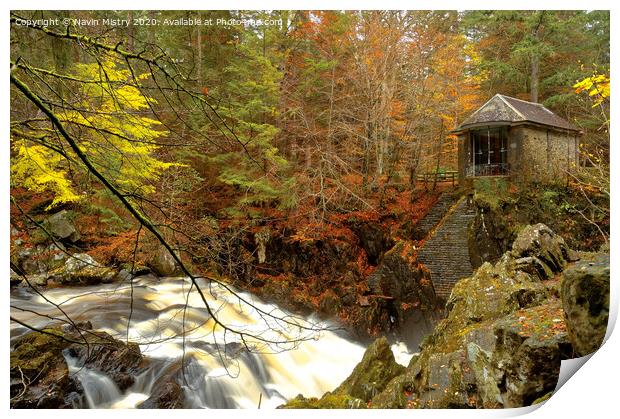 The Hermitage and River Braan, near Dunkeld, Perthshire, Scotland Print by Navin Mistry