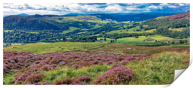The Tummel Valley, Pitlochry, Perthshire panorama Print by Navin Mistry