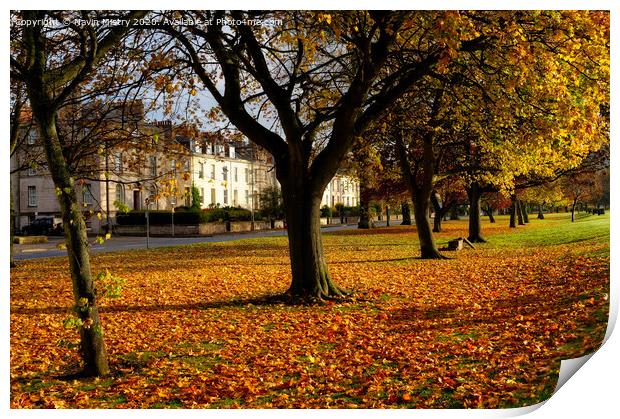 The South Inch, Perth, Scotland in Autumn Print by Navin Mistry