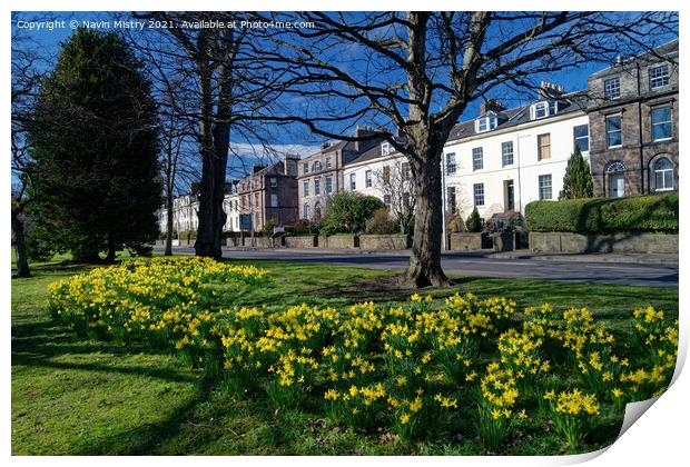 The South Inch, Perth, Scotland in spring time Print by Navin Mistry