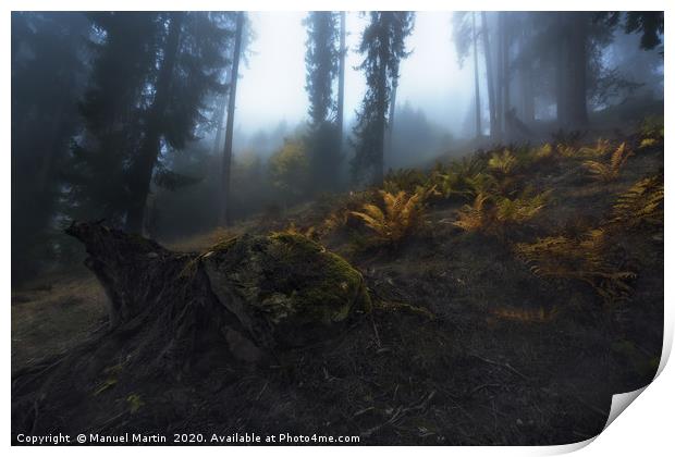 Ferns in the Mist Print by Manuel Martin