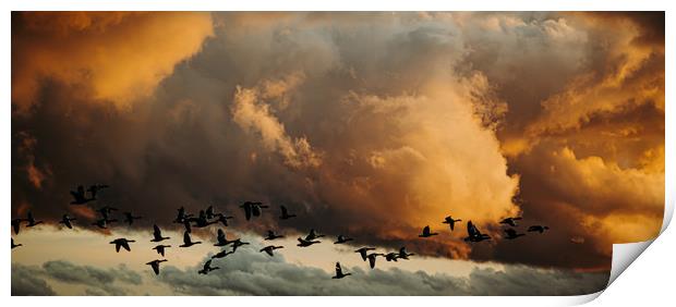Flying geese Print by Lisa Plumb