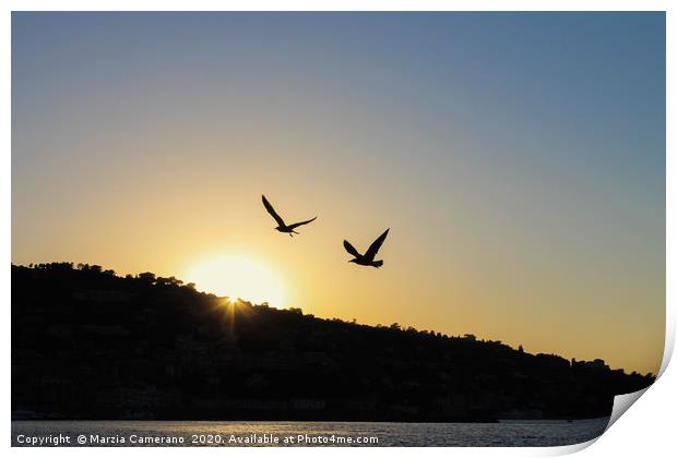 View of sunset and seagulls flying. Print by Marzia Camerano