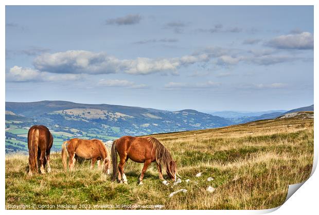 Wild Horses on the Brecon Beacons Print by Gordon Maclaren