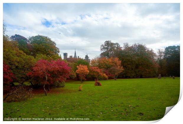 Autumn in Bute Park, Cardiff, South Wales Print by Gordon Maclaren