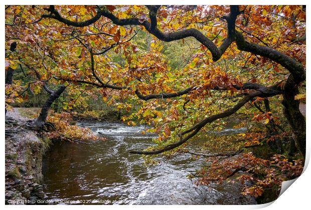 Autumn on the Afon Pyrddin, Pontneddfechan Print by Gordon Maclaren