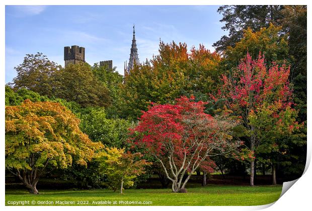 Cardiff Castle in Autumn from Bute Park, South Wal Print by Gordon Maclaren