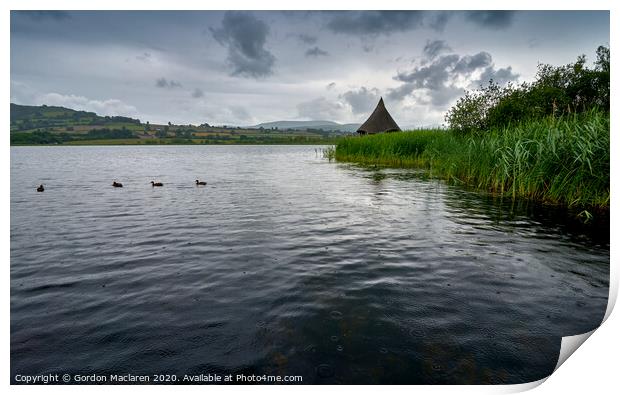 Ducks on Llangorse Lake Print by Gordon Maclaren