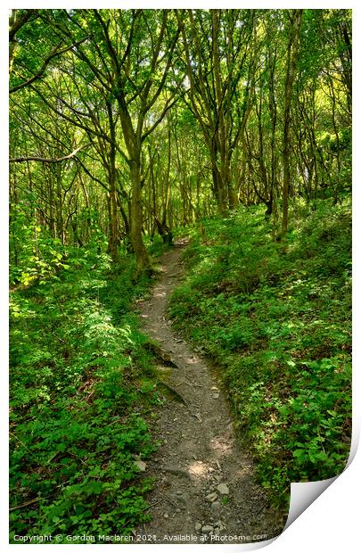 A walk in the woods Print by Gordon Maclaren