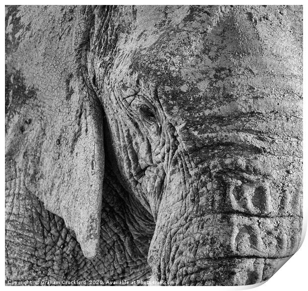 Elephant eye Print by Graham Crockford