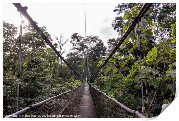 Rain forest Costa Rica Print by Marco Diaz