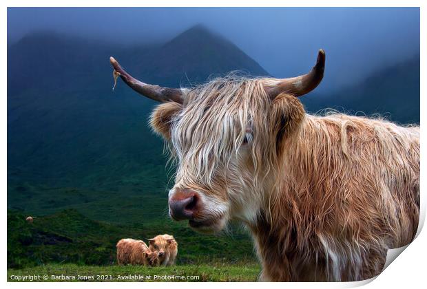 Highland Cow at Sconser Isle of Skye. Print by Barbara Jones
