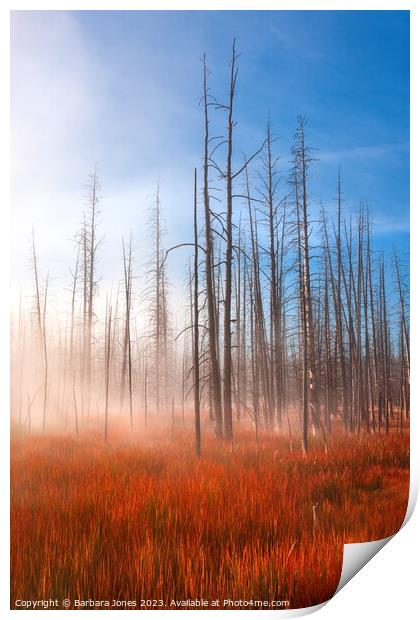 Misty Sunrise Yellowstone NP, USA. Print by Barbara Jones