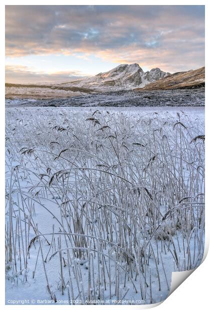 Blaven and Frosted Reeds in Winter Isle of Skye Print by Barbara Jones