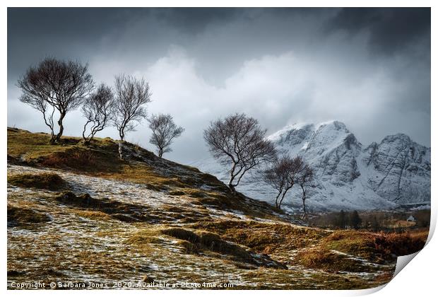 Isle of Skye Blaven and Birch Trees Scotland Print by Barbara Jones