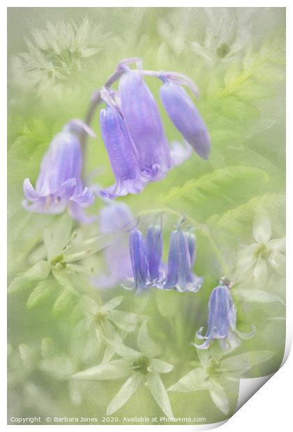 Enchanting Bluebells Carpet the Forest Floor Print by Barbara Jones