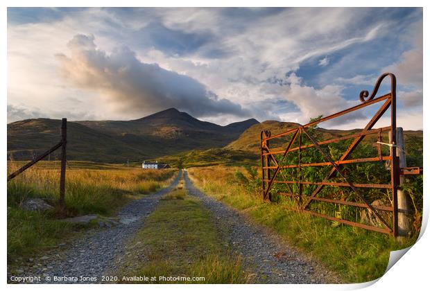 Isle of Mull Ben More Summer Evening  Scotland Print by Barbara Jones