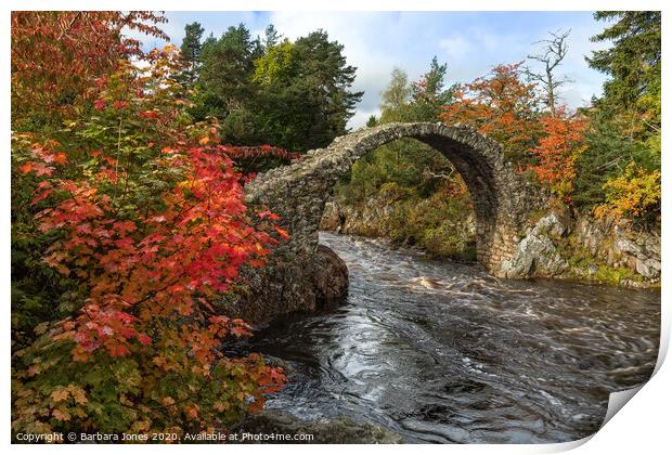 Carrbridge  in Autumn Cairngorms NP  Scotland Print by Barbara Jones