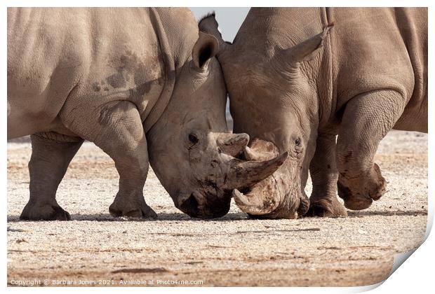 Epic Rhinoceros Battle in Nakuru Print by Barbara Jones