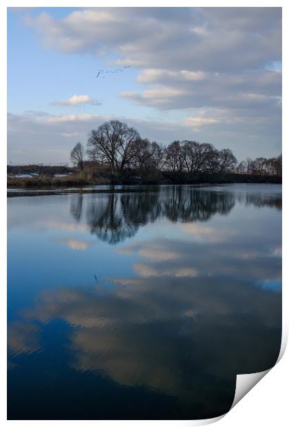 Migrating birds. Reflection. Print by Alexey Rezvykh